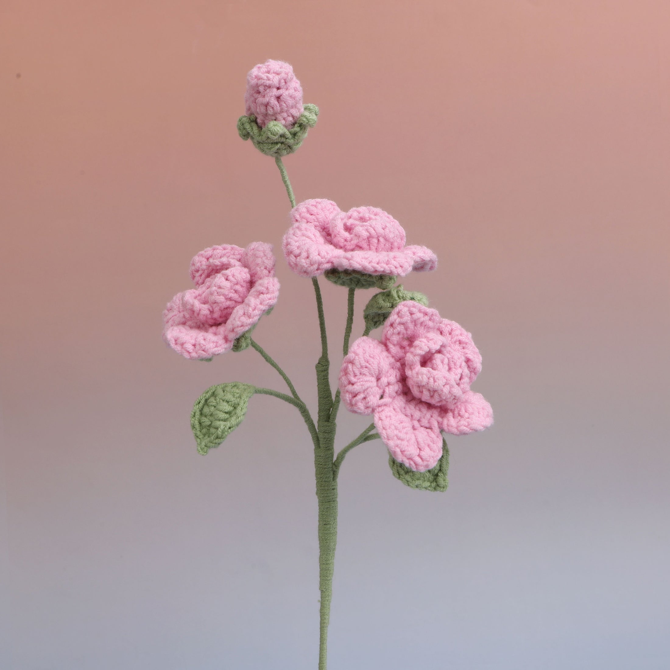 Barbie Rose