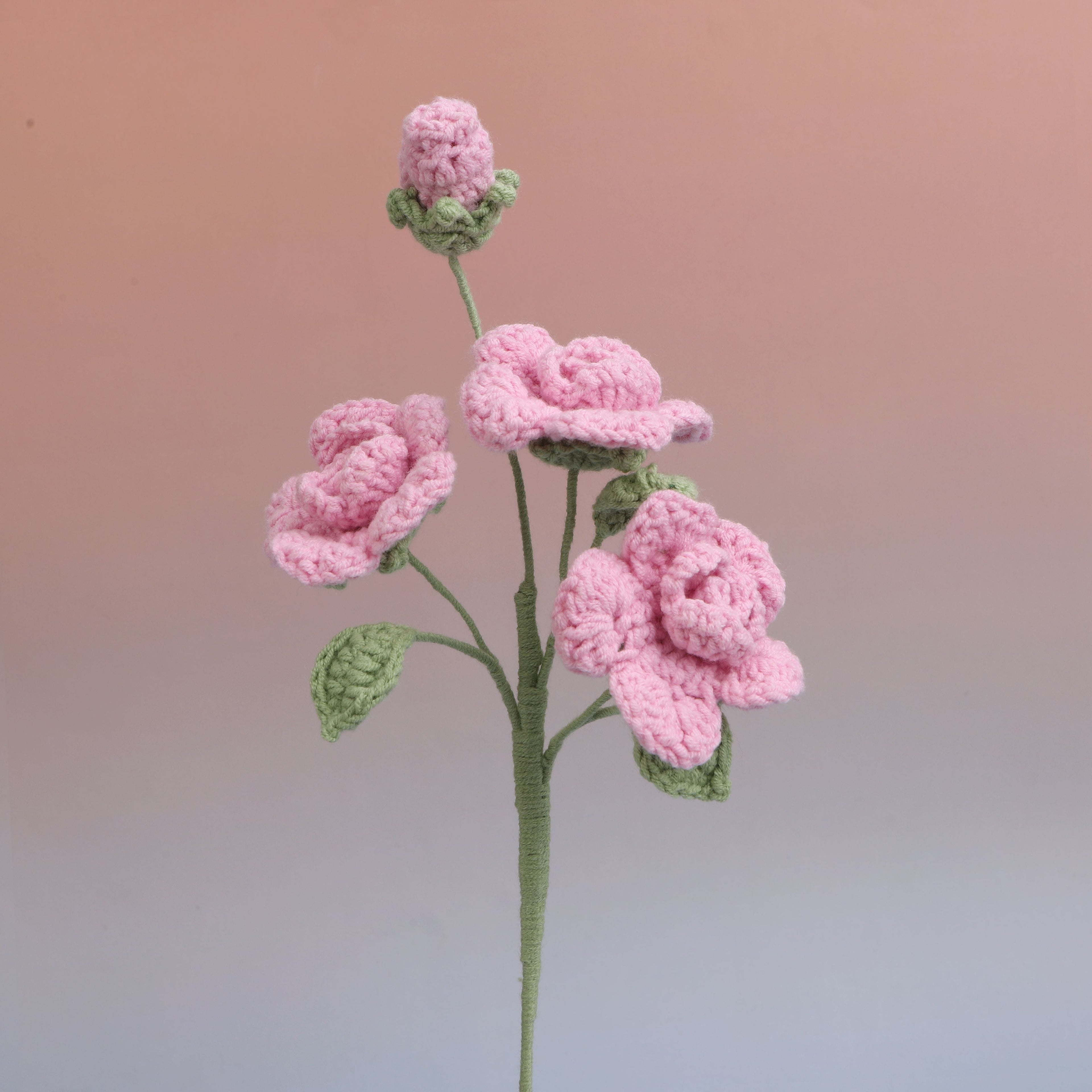 Barbie Rose