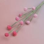 Snow Berry