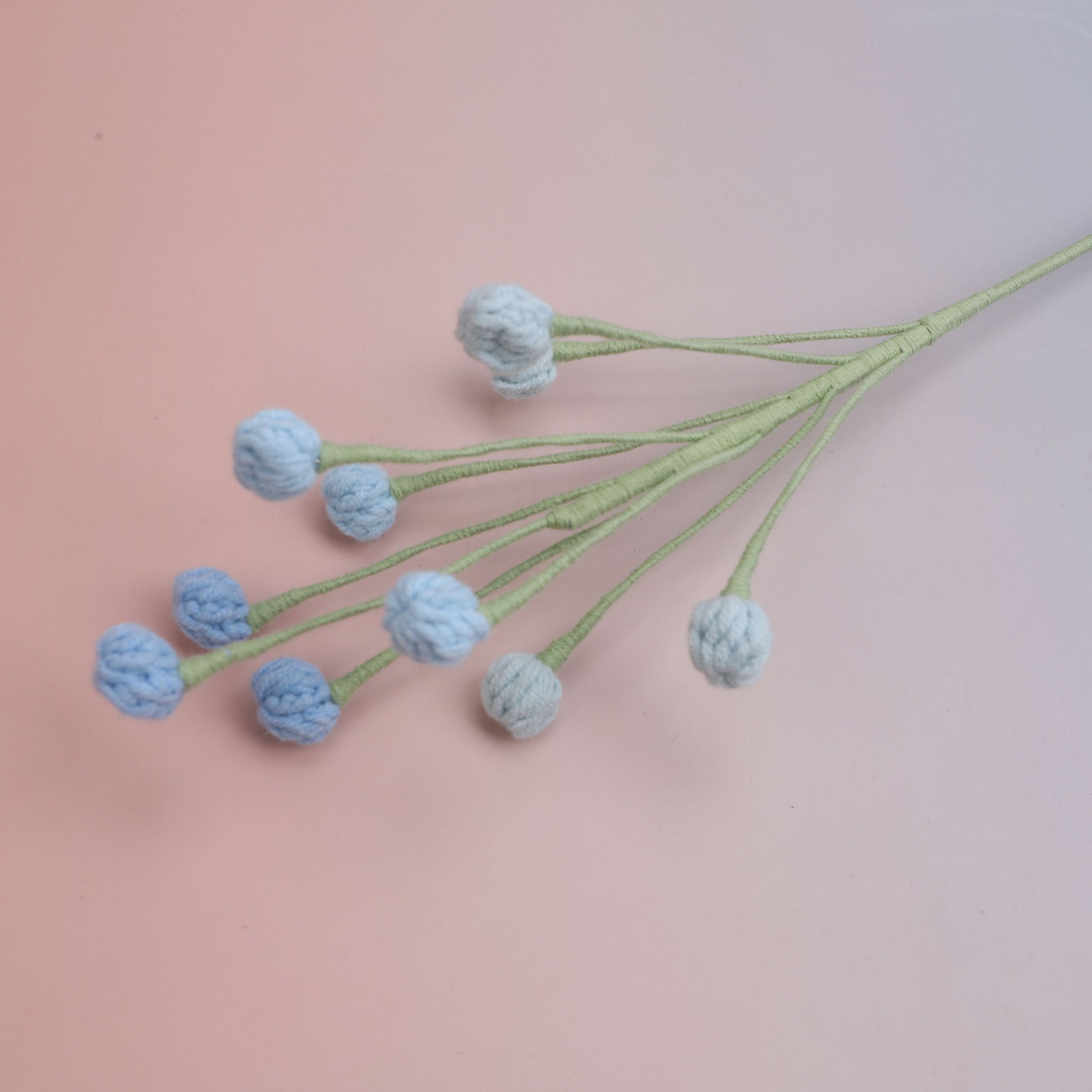 Snow Berry