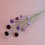Snow Berry