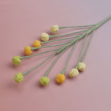 Snow Berry