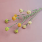 Snow Berry