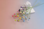 Snow Berry
