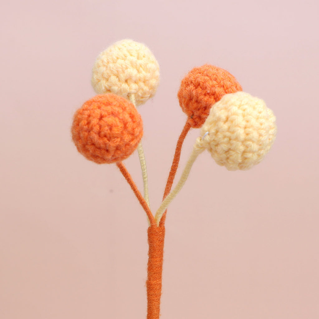 Berry-4