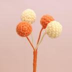 Berry-4