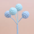 Berry-4