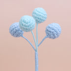 Berry-4