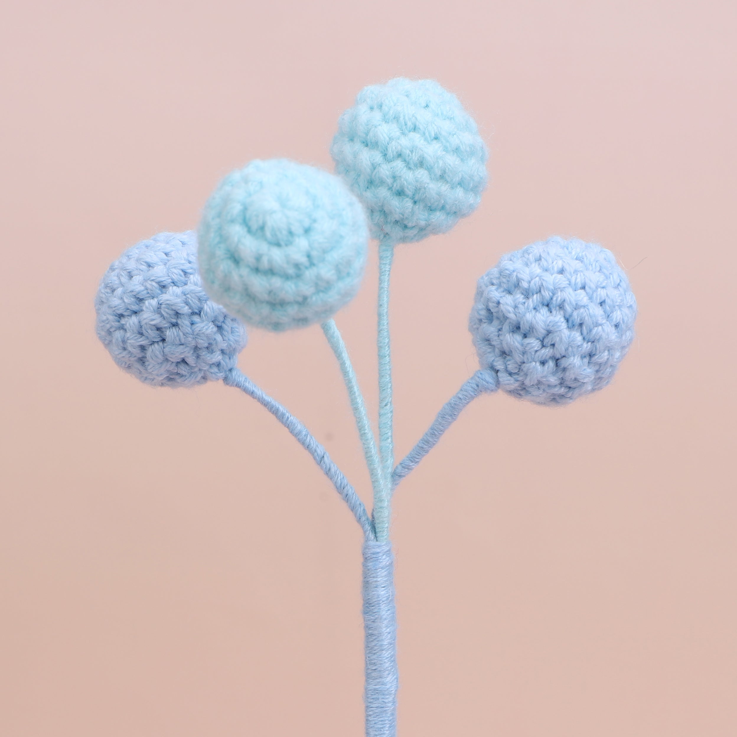 Berry-4