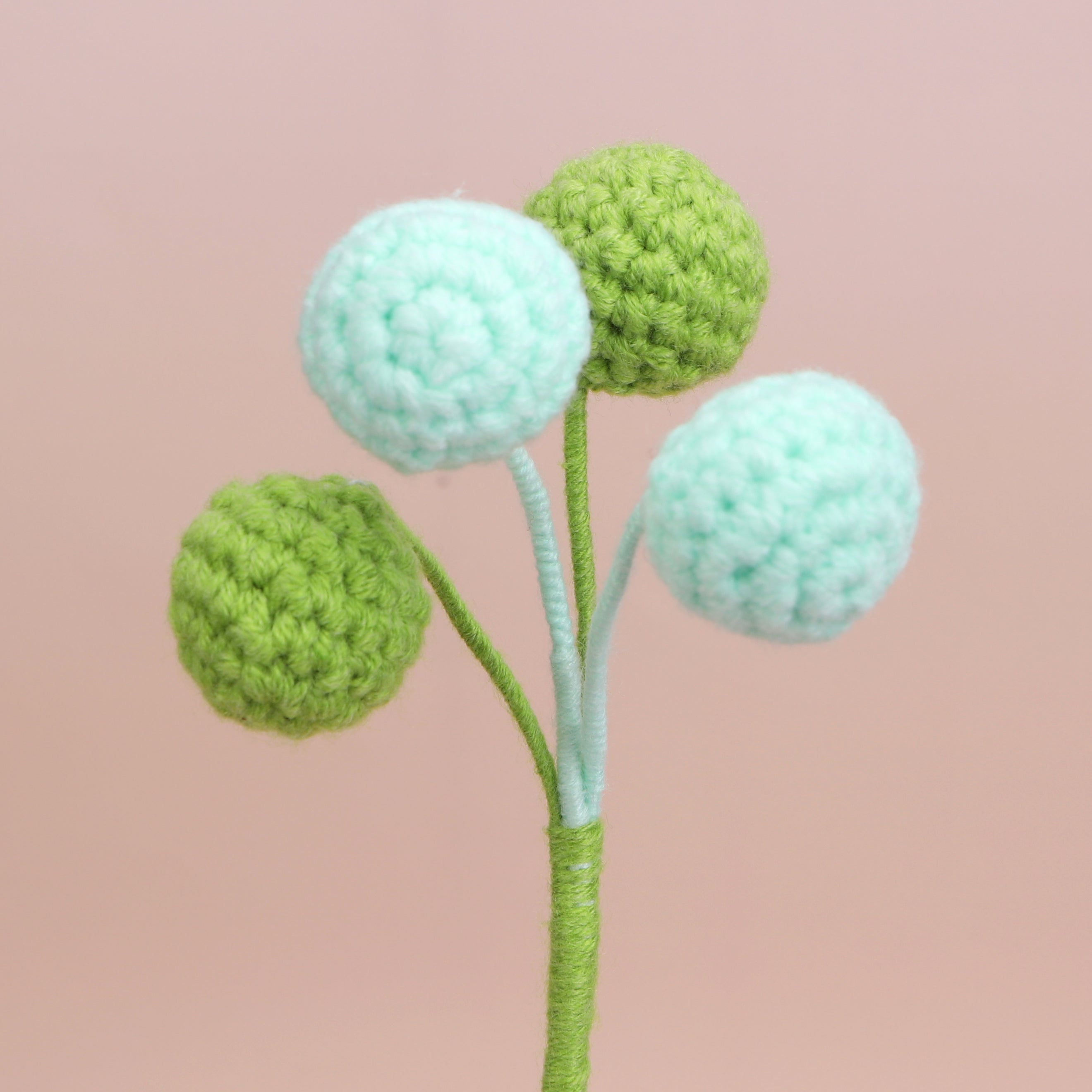 Berry-4