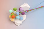 Berry-4