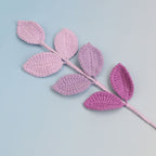 Colorful leaves
