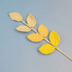 Colorful leaves