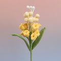 Hyacinthus
