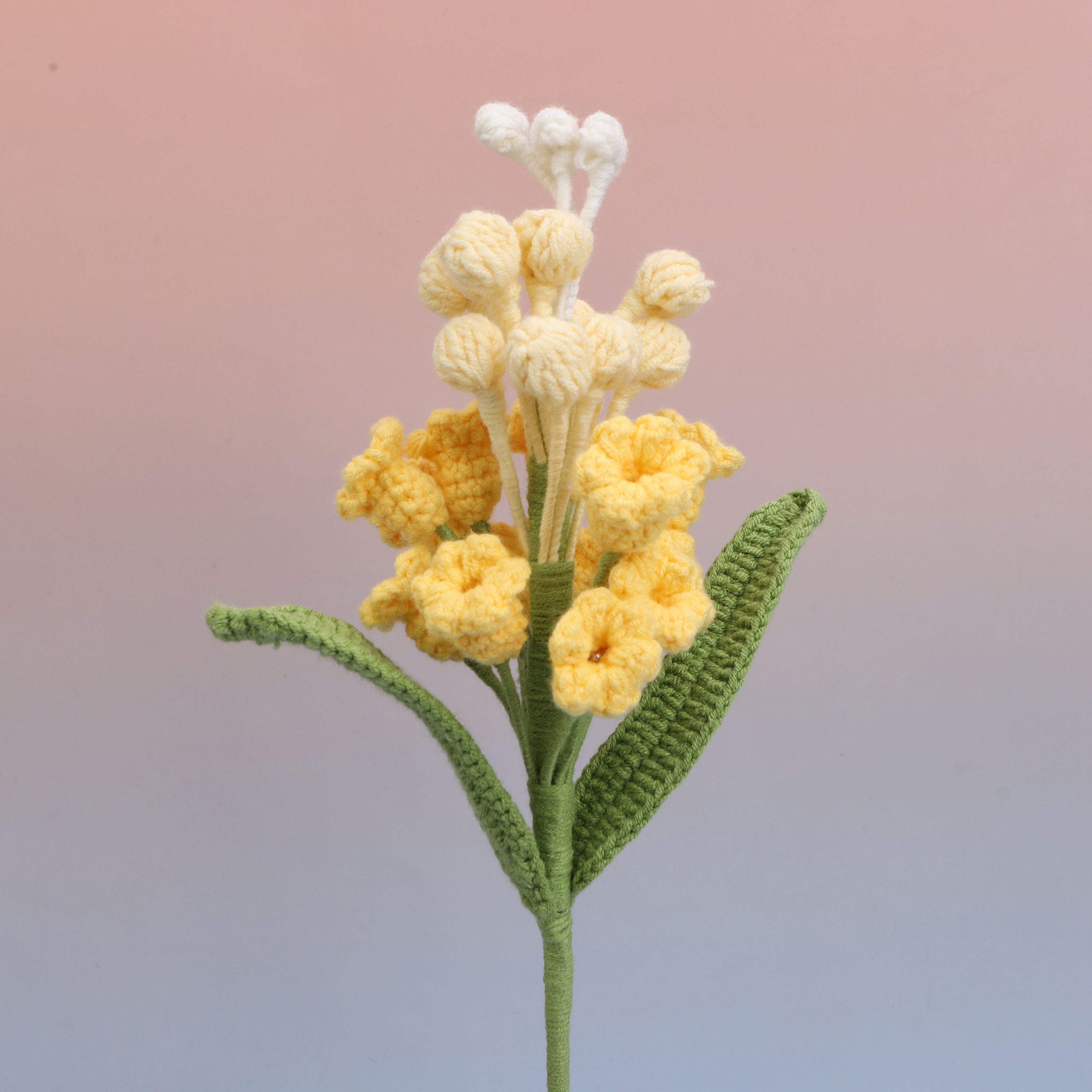 Hyacinthus