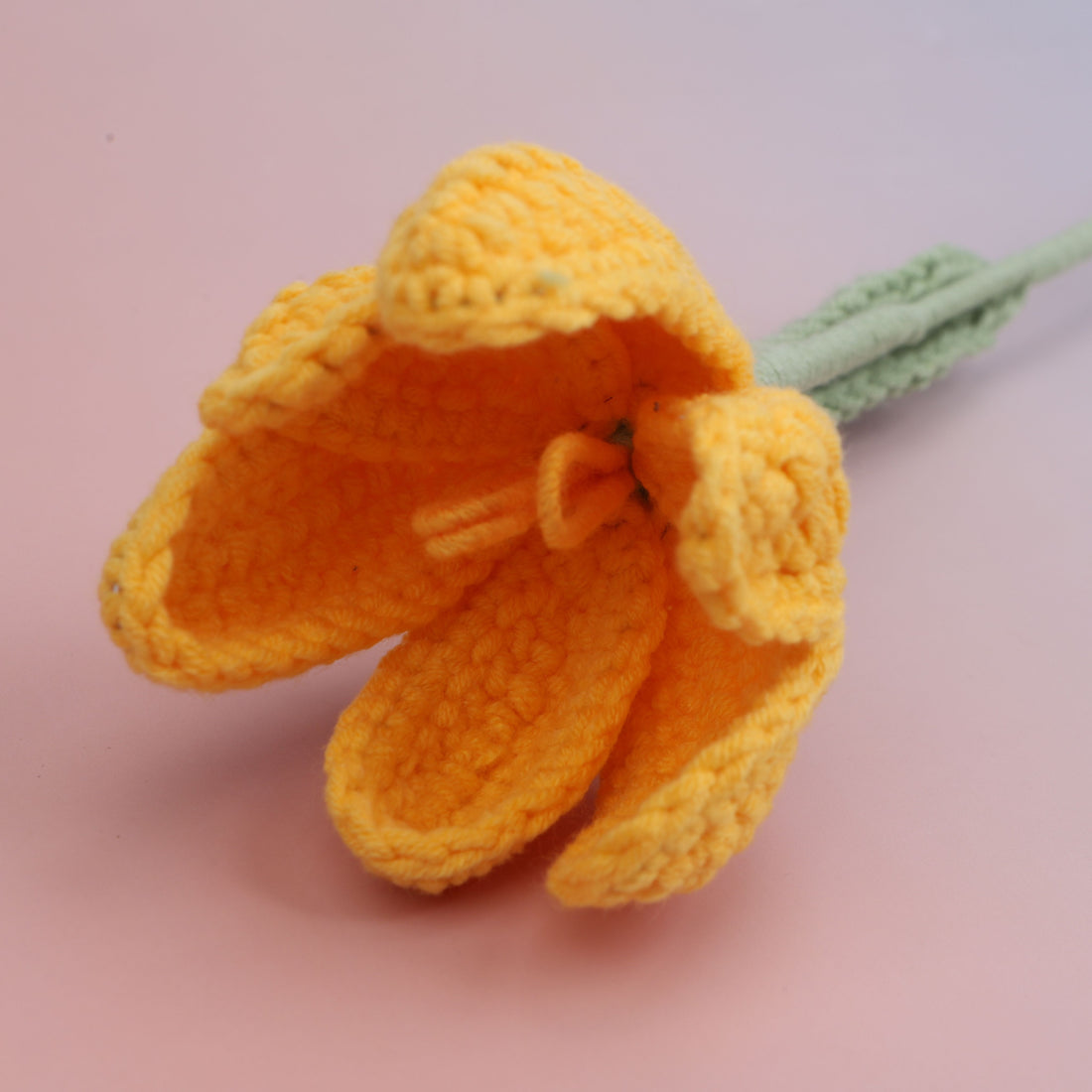 Tulip Blooms — Yellow
