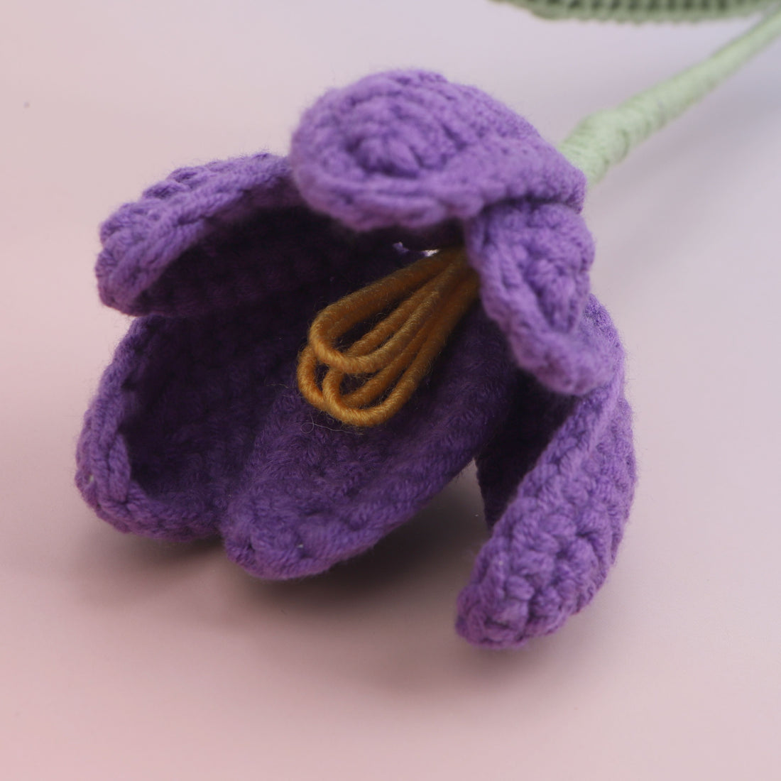 Tulip Blooms — Purple