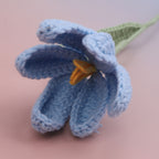 Tulip-bloom