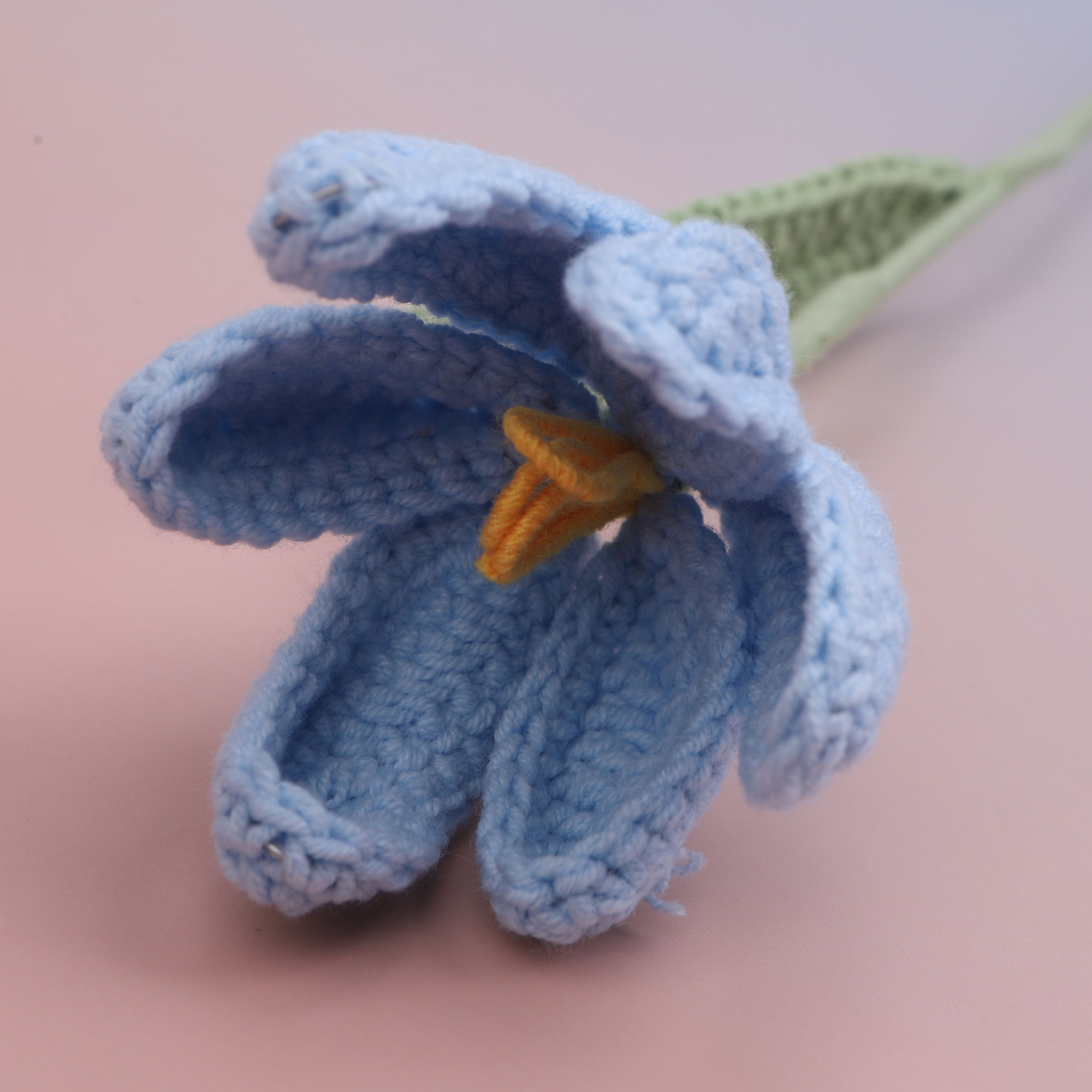 Tulip-bloom