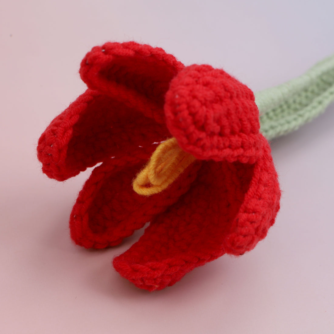 Tulip Blooms — Red