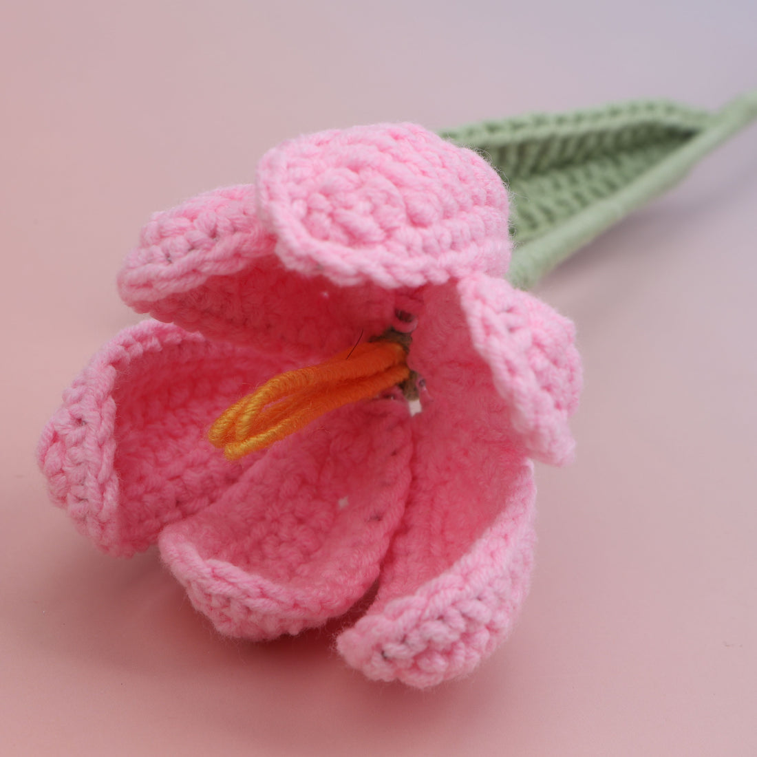 Tulip Blooms — Pink