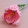 Tulip-bloom