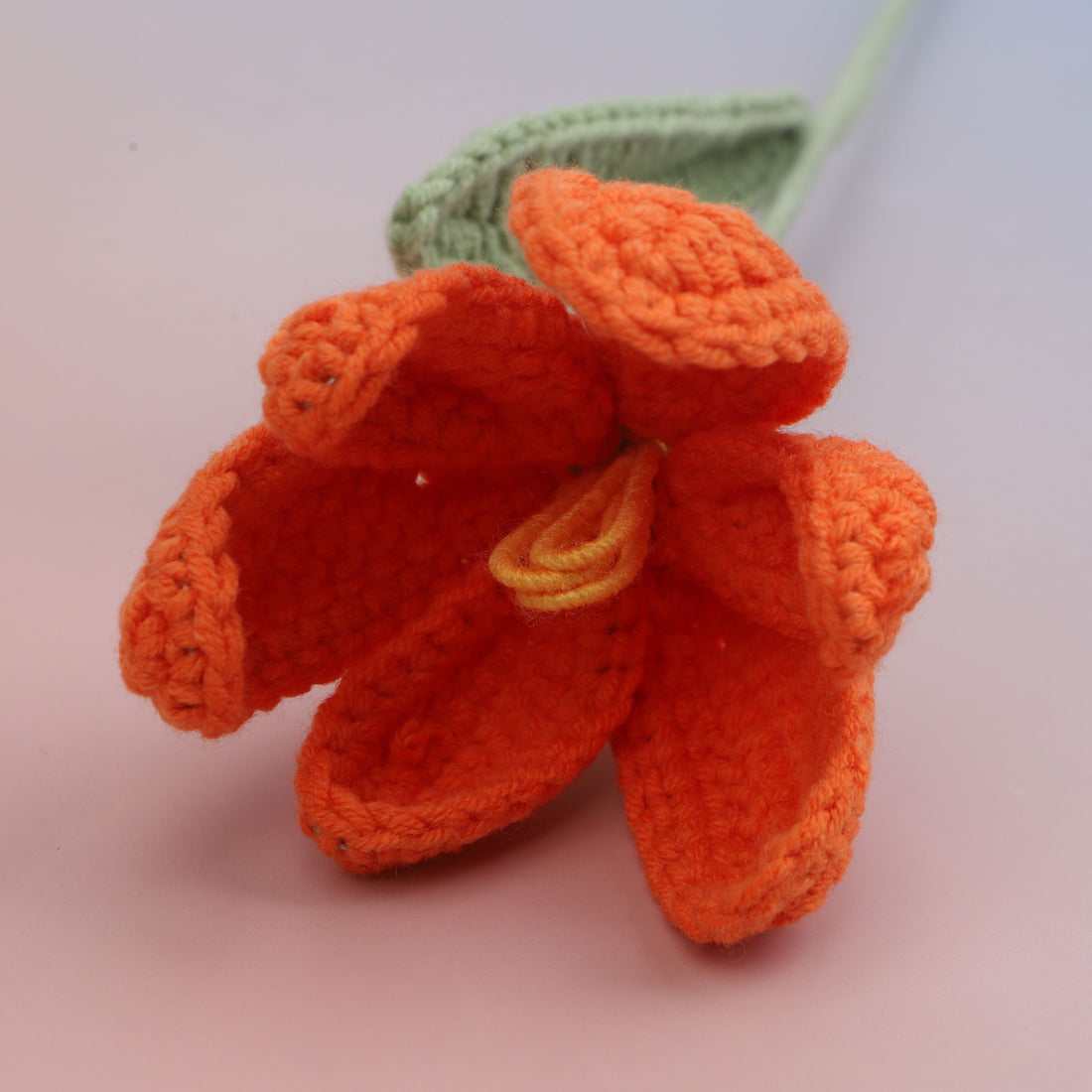 Tulip Blooms — Orange