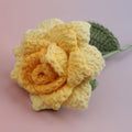Colorful Rose