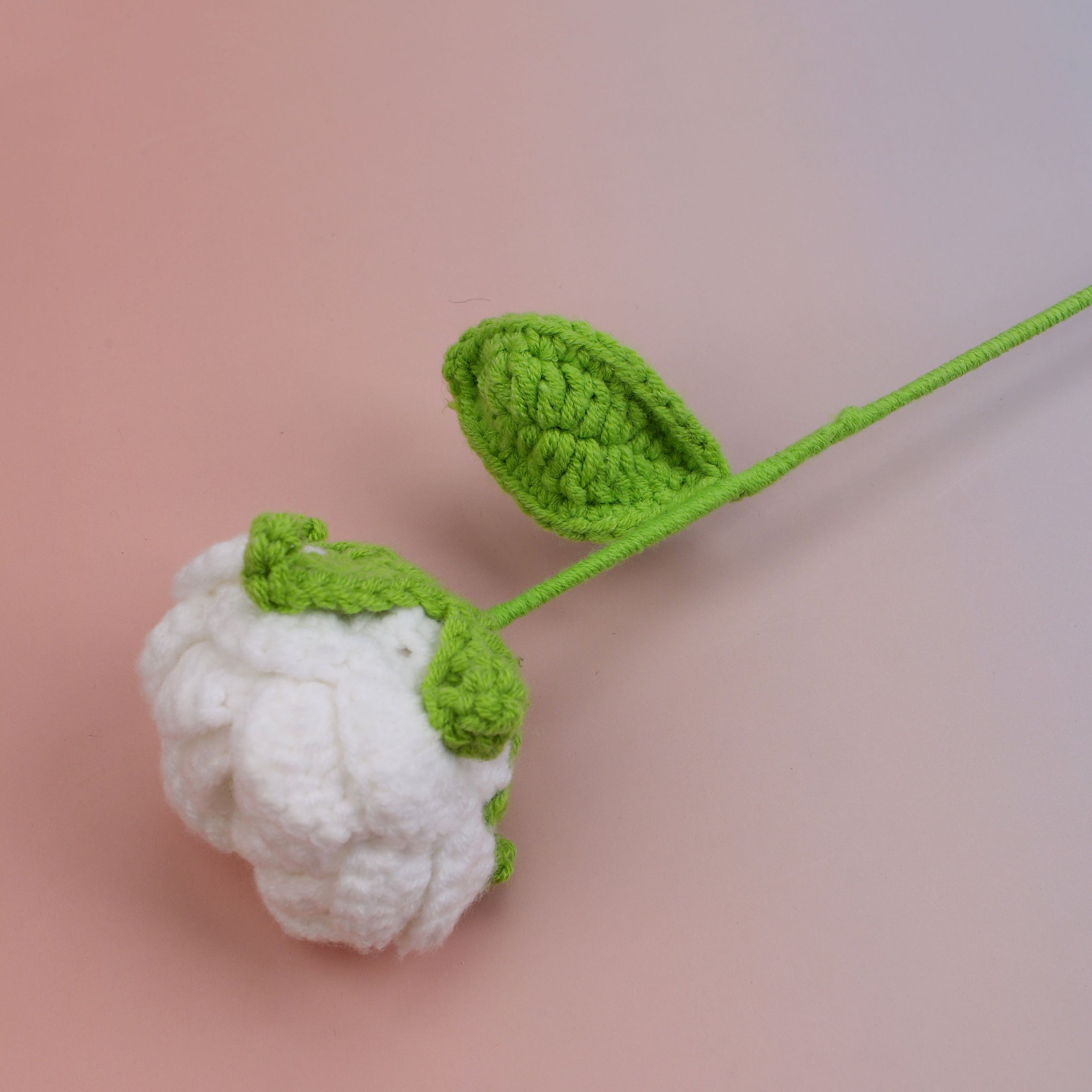 Round Rose