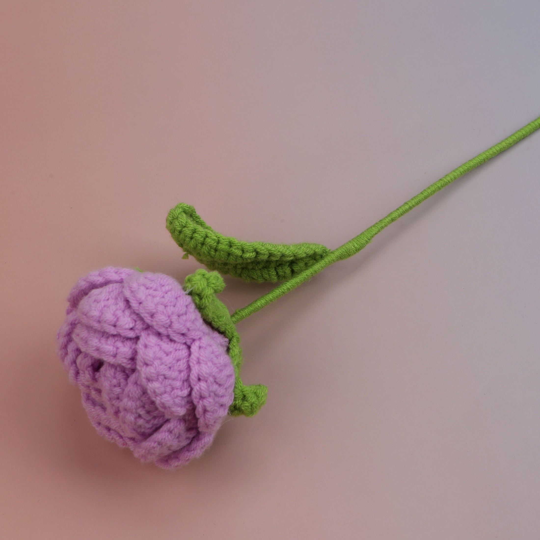 Round Rose