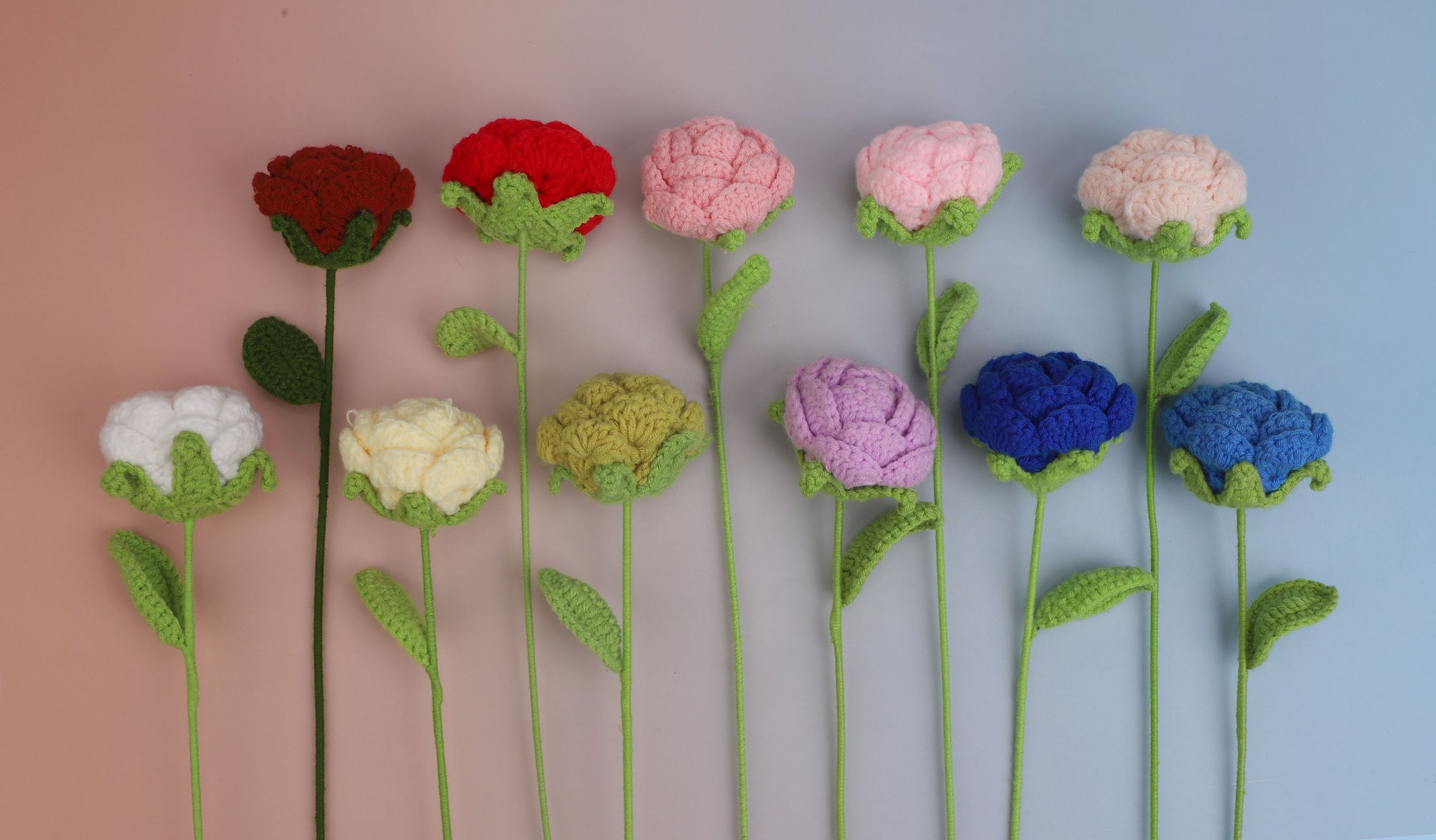 Round Rose