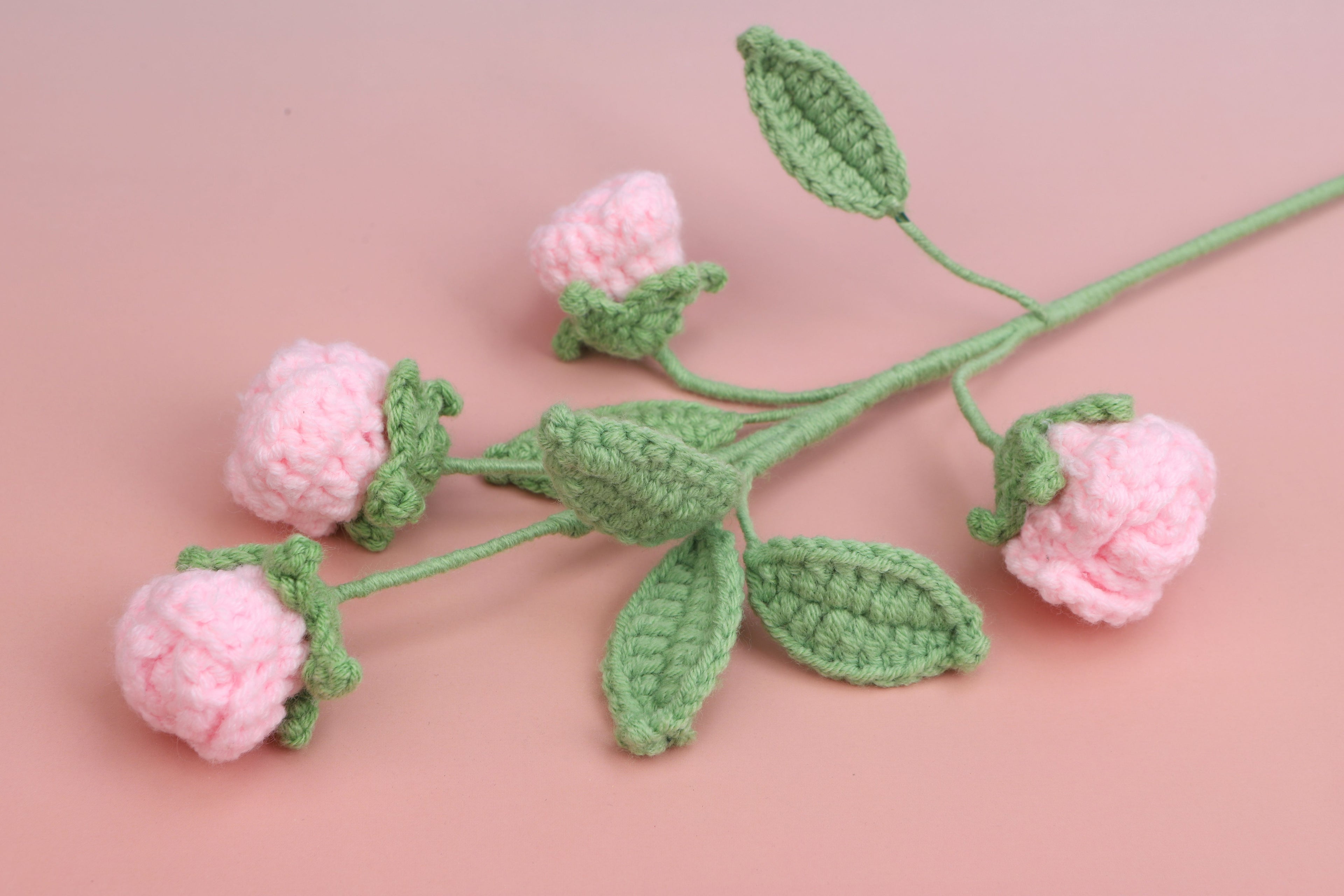 Rose-4