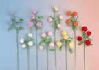 Rose-4