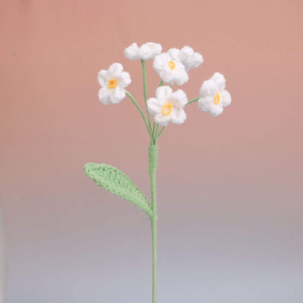 Forget me Not