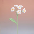 Forget me Not