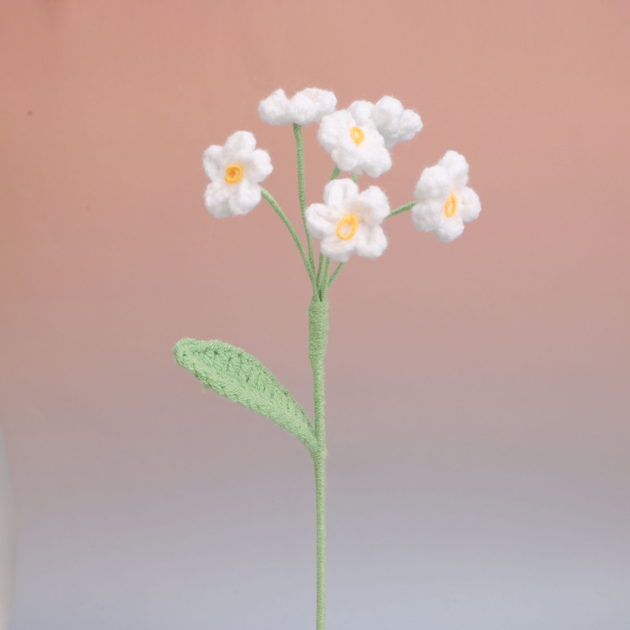 Forget me Not