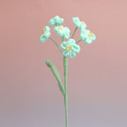 Forget me Not