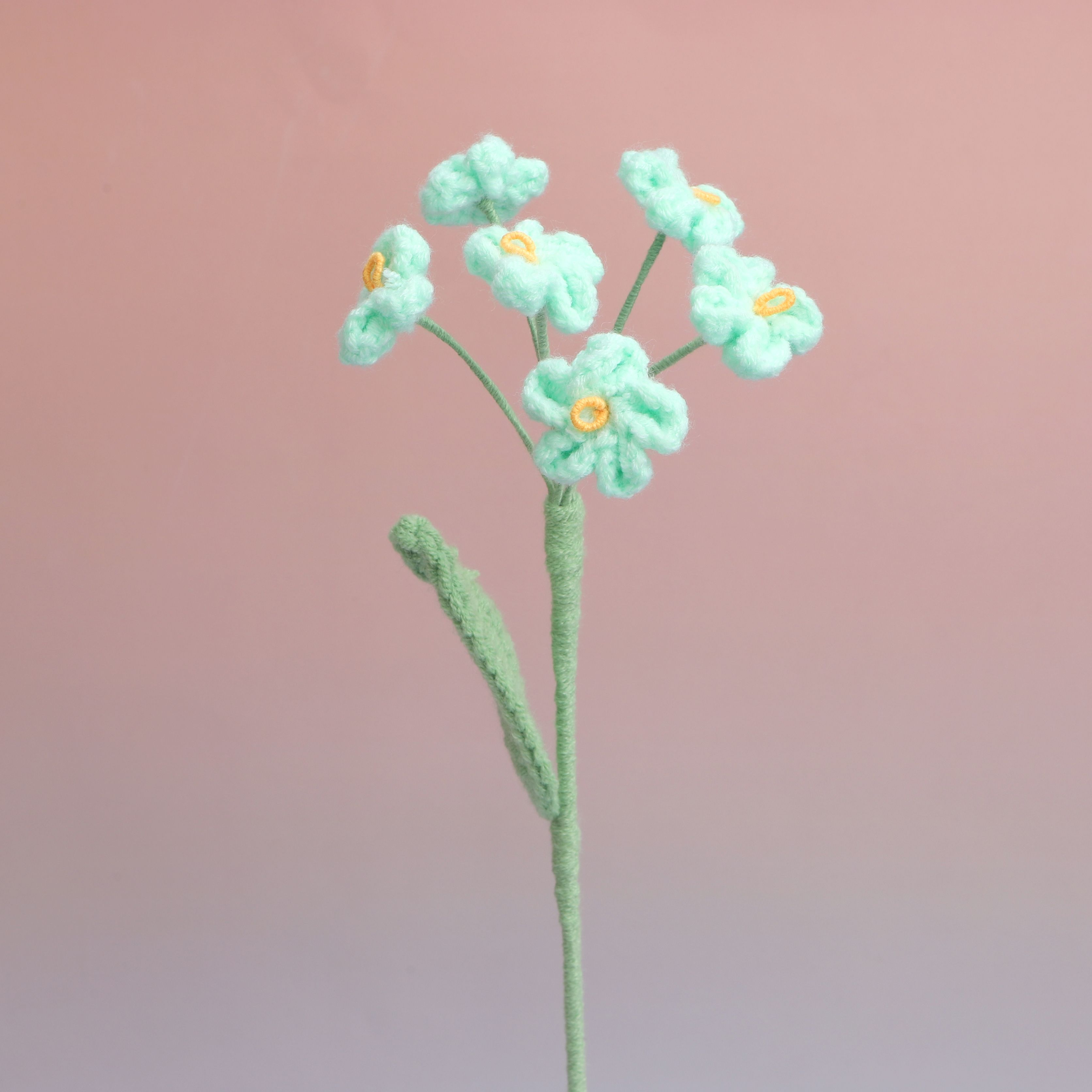 Forget me Not