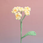 Forget me Not
