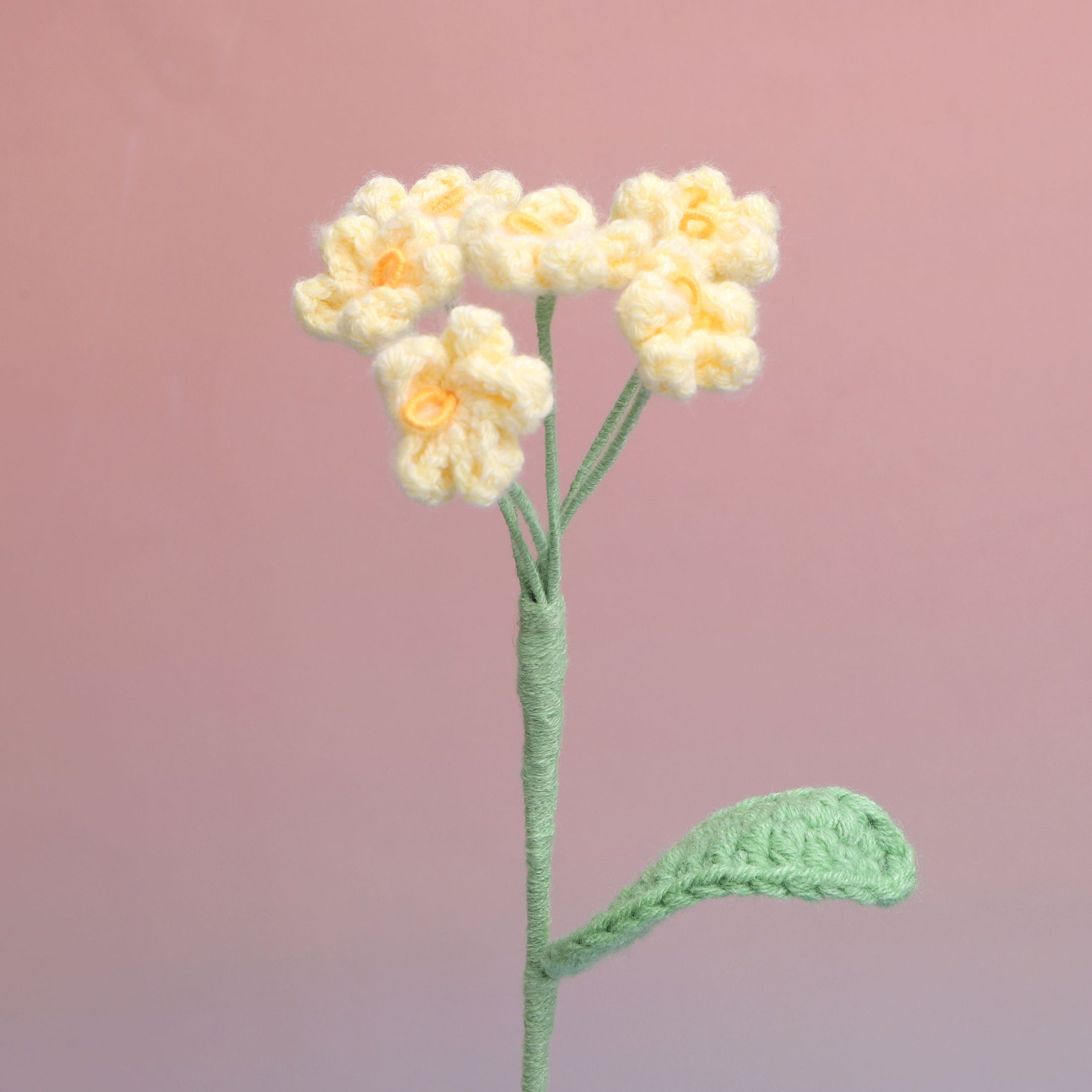 Forget me Not