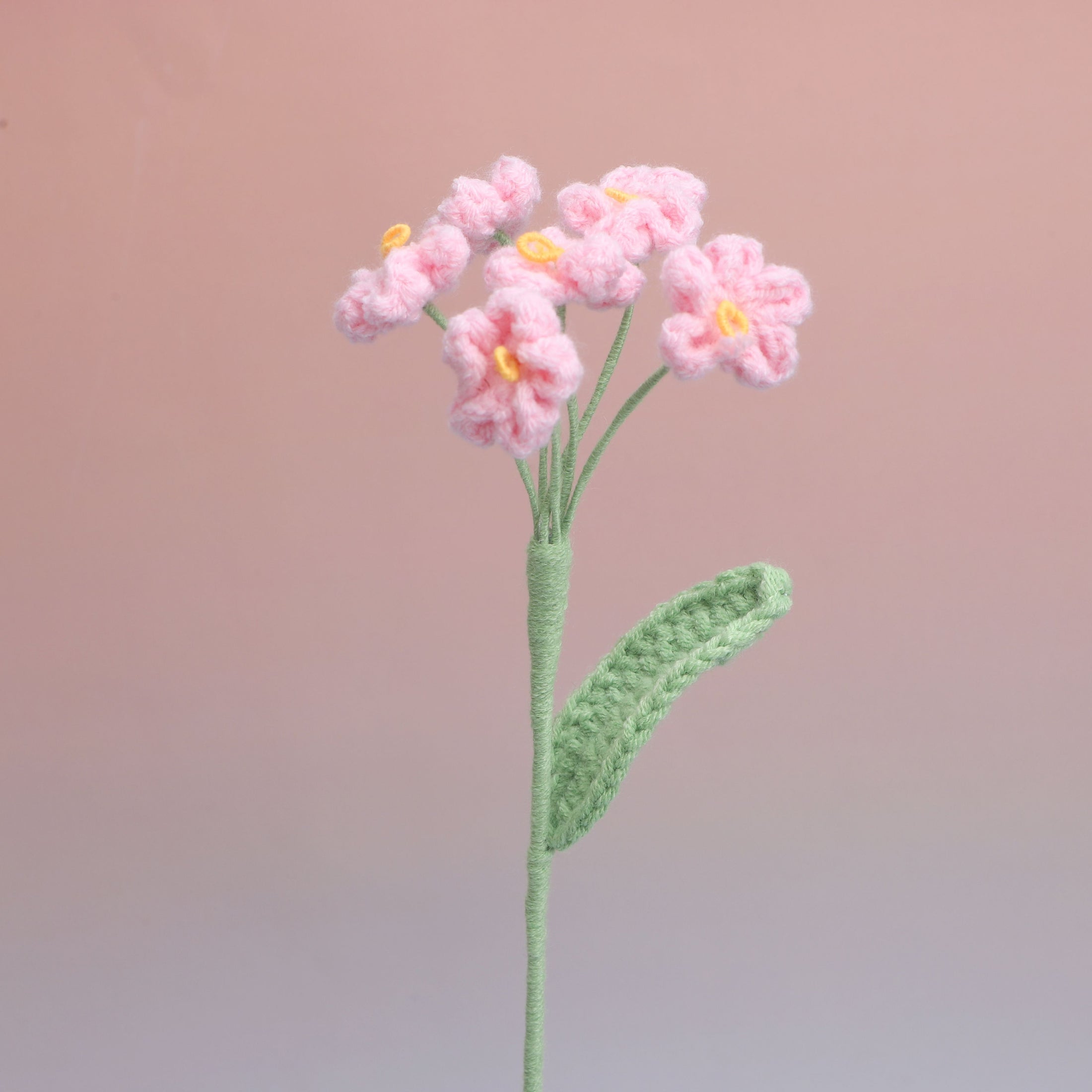 Forget me Not