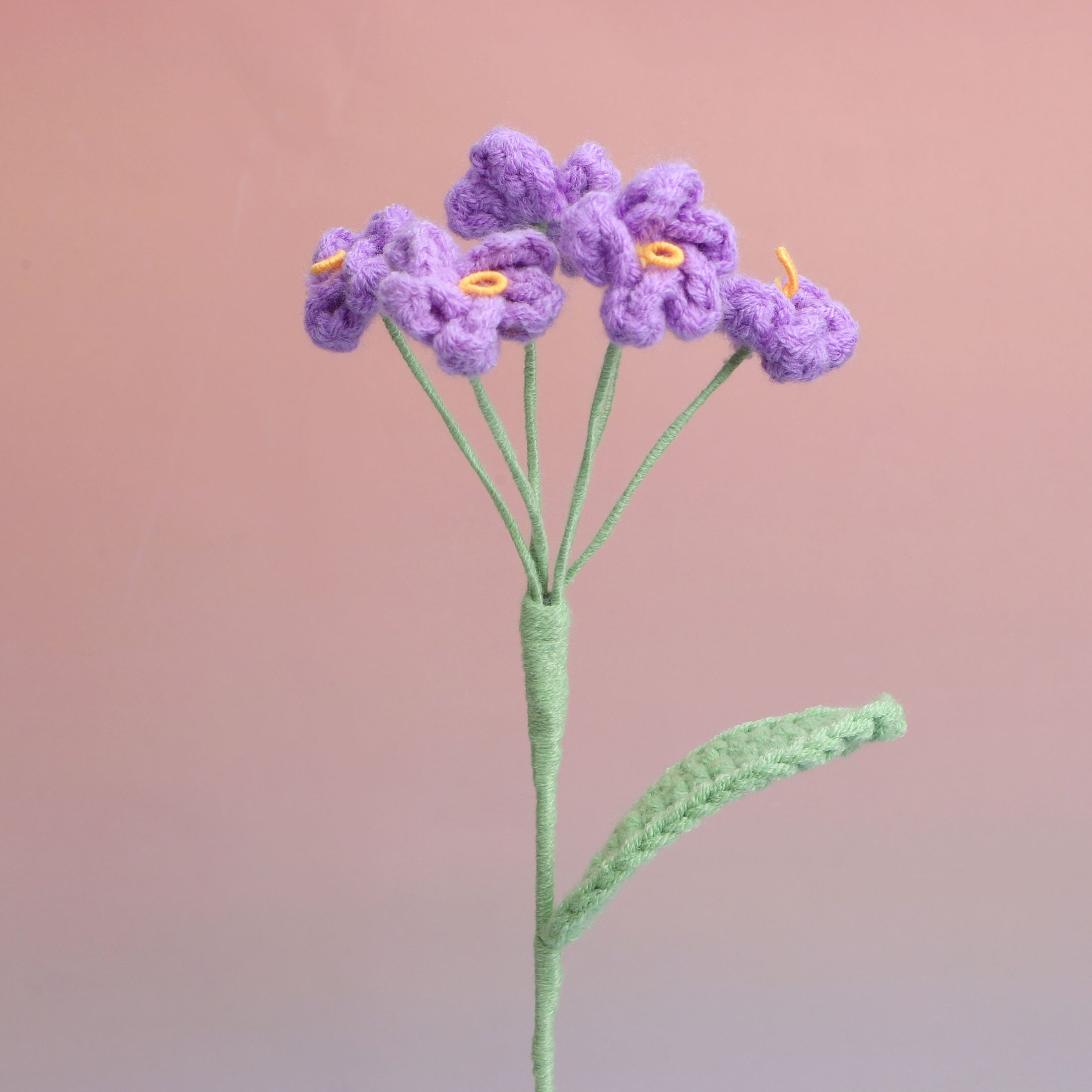 Forget me Not