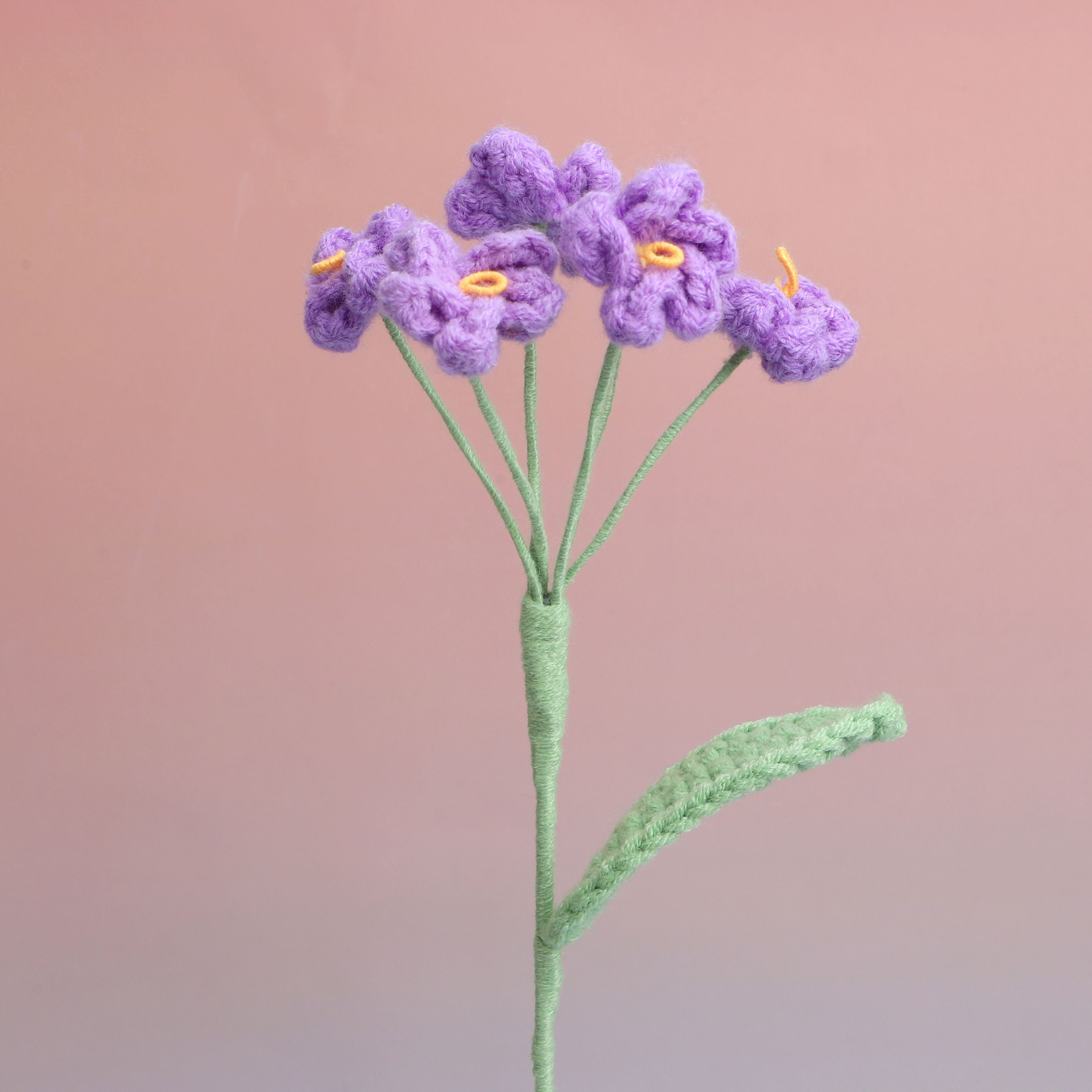Forget me Not