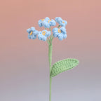 Forget me Not