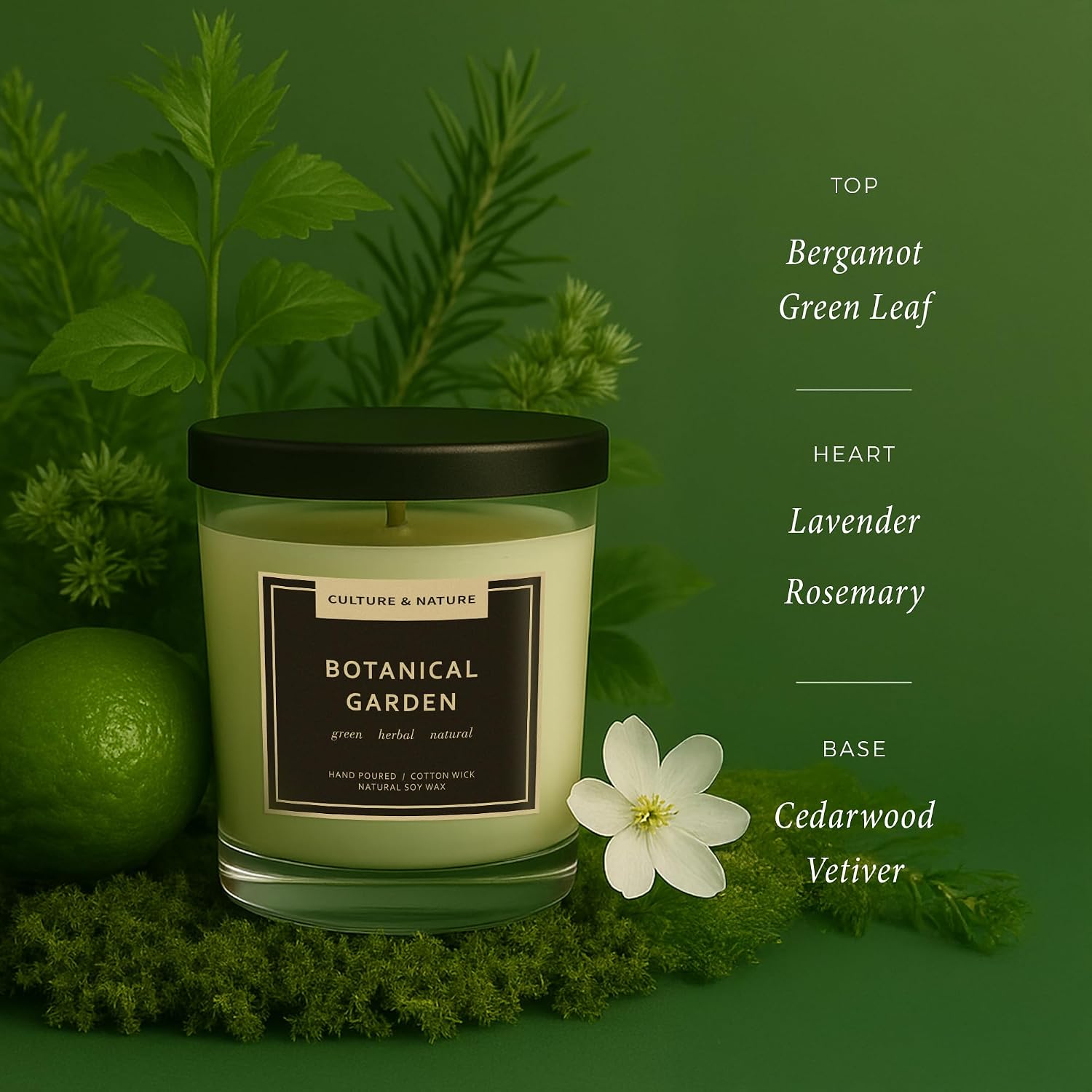 CULTURE & NATURE 7oz soy wax candle, Botanical Garden, gallery photo 3