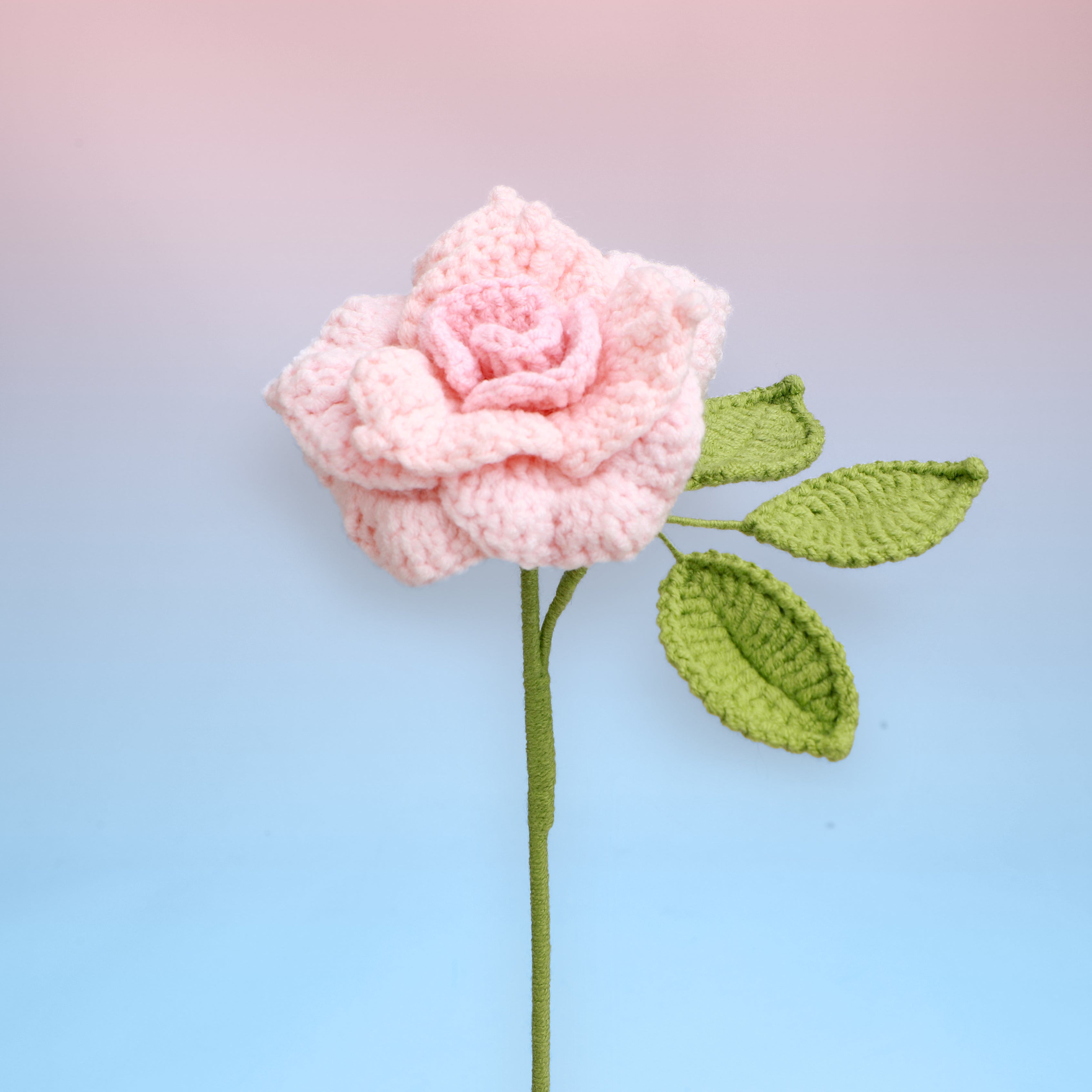 Handmade crochet garden rose in pink